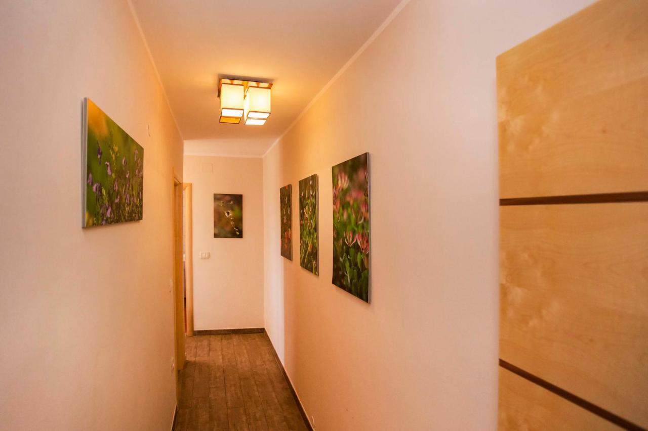 רוביני Apartments Romano מראה חיצוני תמונה